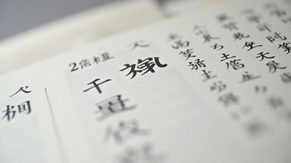 Traduction chinois-français assermentée : spécificités des caractères et délais